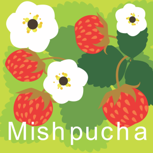 Mishpucha square